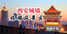 日鸡巴视频在线观看中国陕西-西安城墙旅游风景区