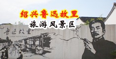 大鸡巴操大黑逼的视频中国绍兴-鲁迅故里旅游风景区